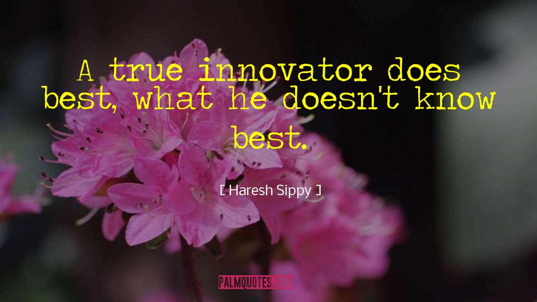 Best Business quotes by Haresh Sippy