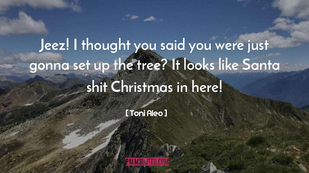 Best Christmas quotes by Toni Aleo