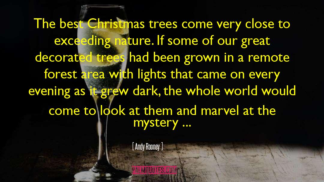 Best Christmas quotes by Andy Rooney