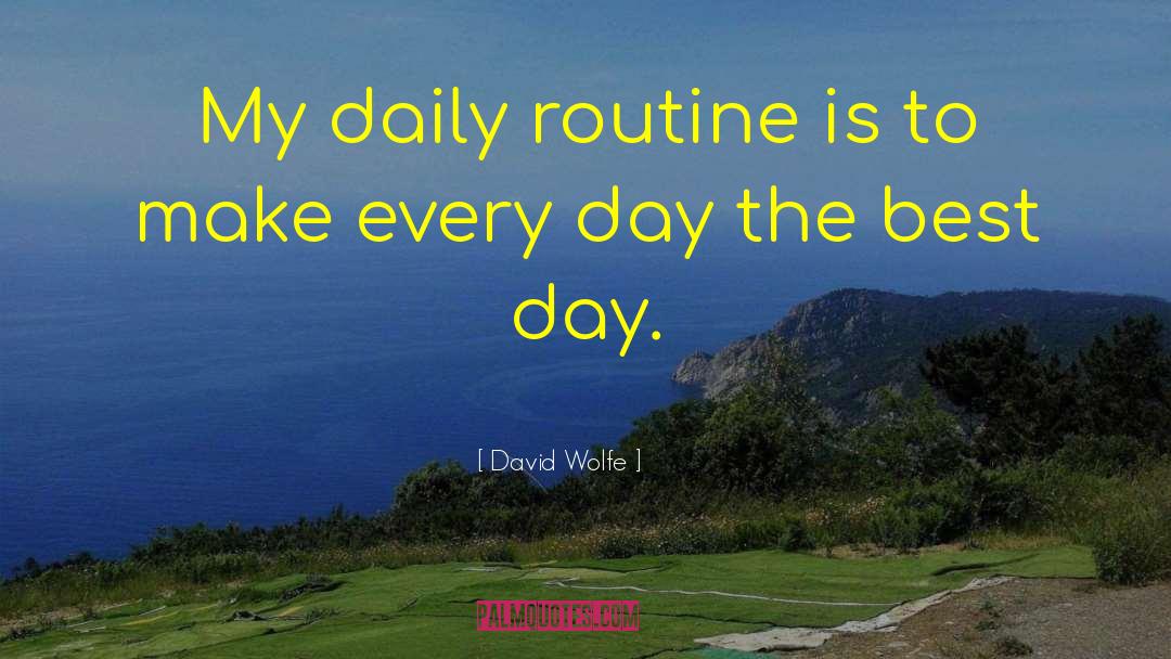 Best Day quotes by David Wolfe