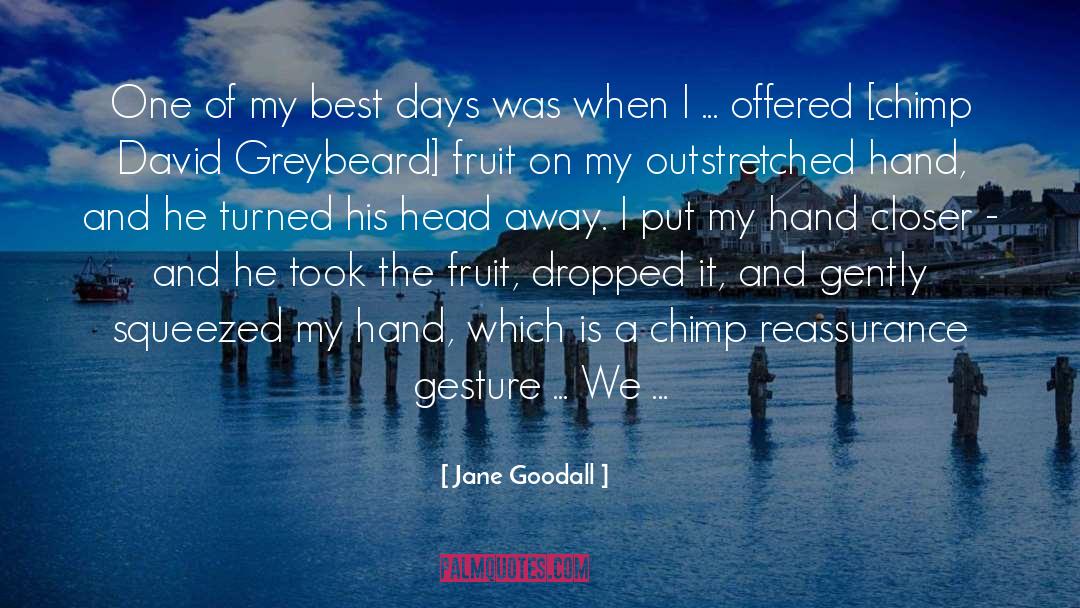 Best Days quotes by Jane Goodall