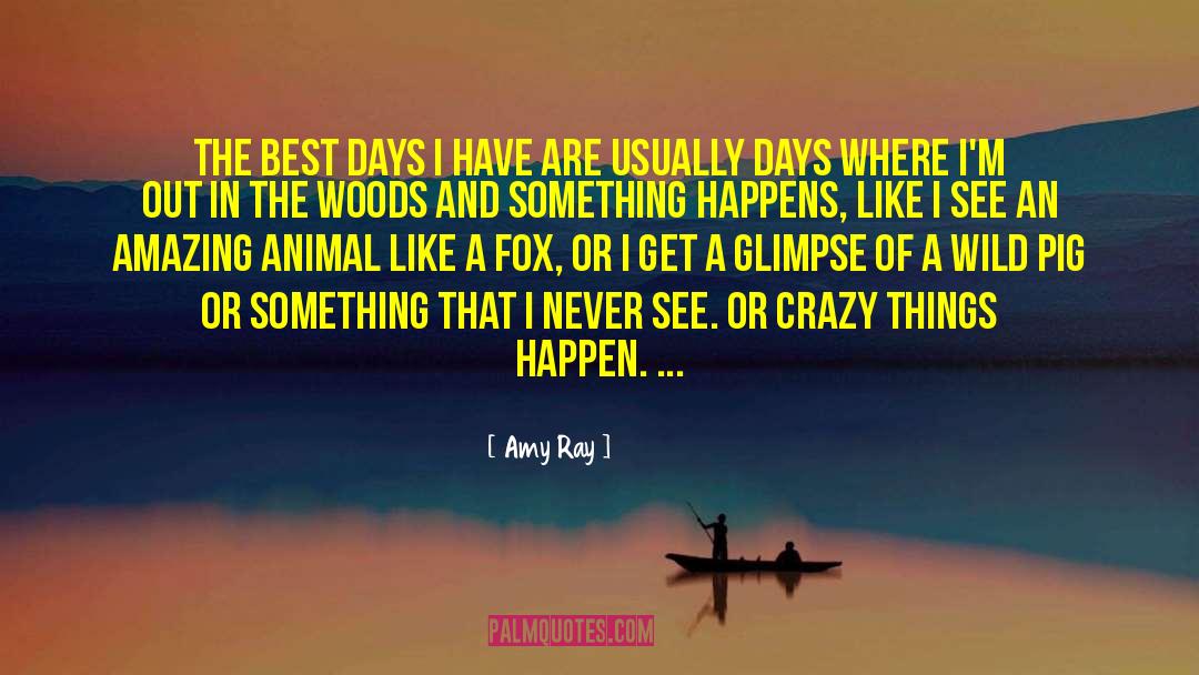 Best Days quotes by Amy Ray