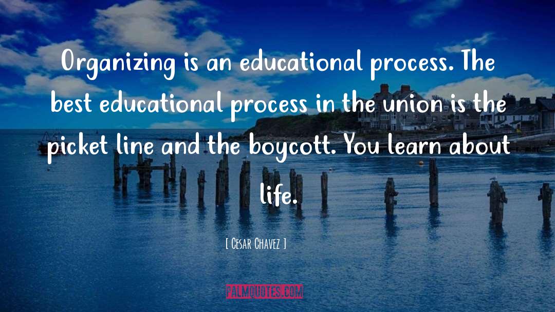 Best Education quotes by Cesar Chavez