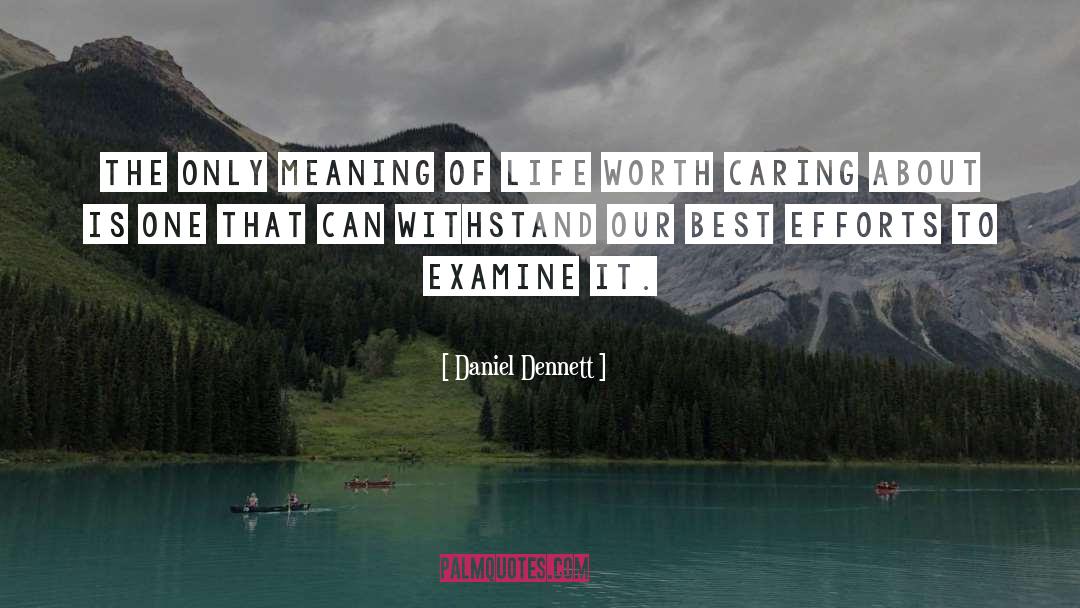 Best Effort quotes by Daniel Dennett