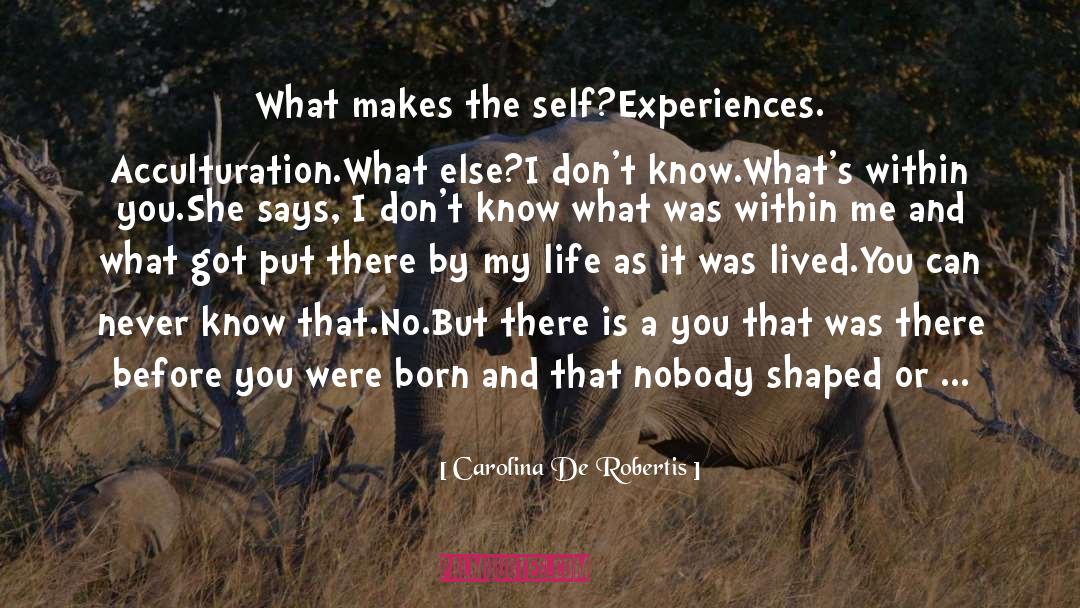 Best Experiences quotes by Carolina De Robertis