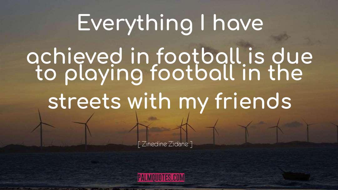 Best Football Hooligan quotes by Zinedine Zidane