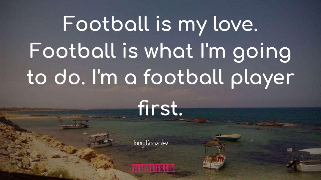 Best Football Hooligan quotes by Tony Gonzalez