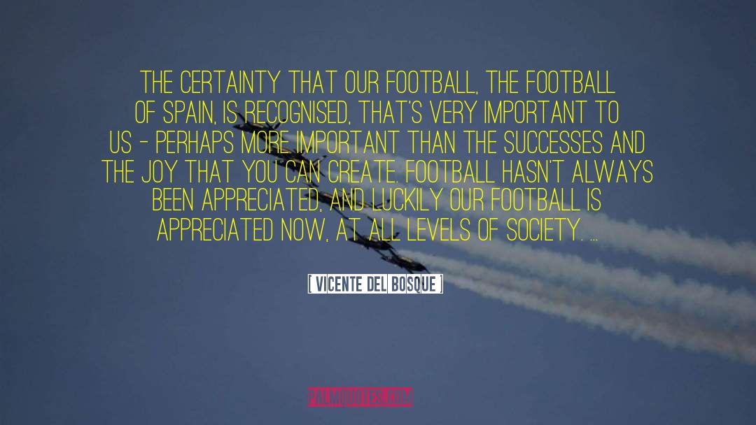 Best Football Hooligan quotes by Vicente Del Bosque