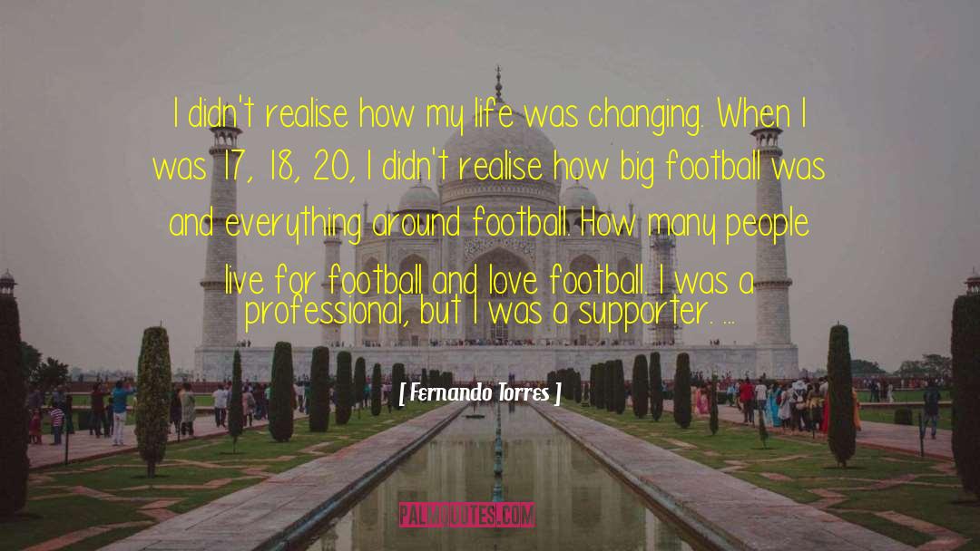 Best Football Hooligan quotes by Fernando Torres