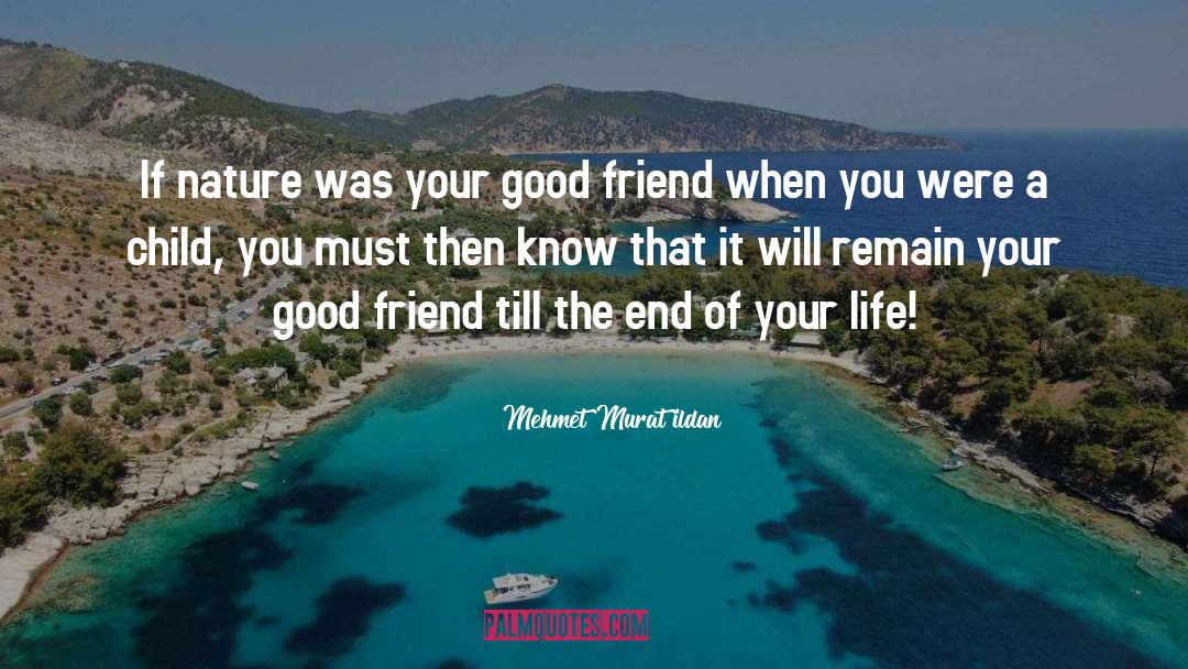 Best Friend Pampering quotes by Mehmet Murat Ildan