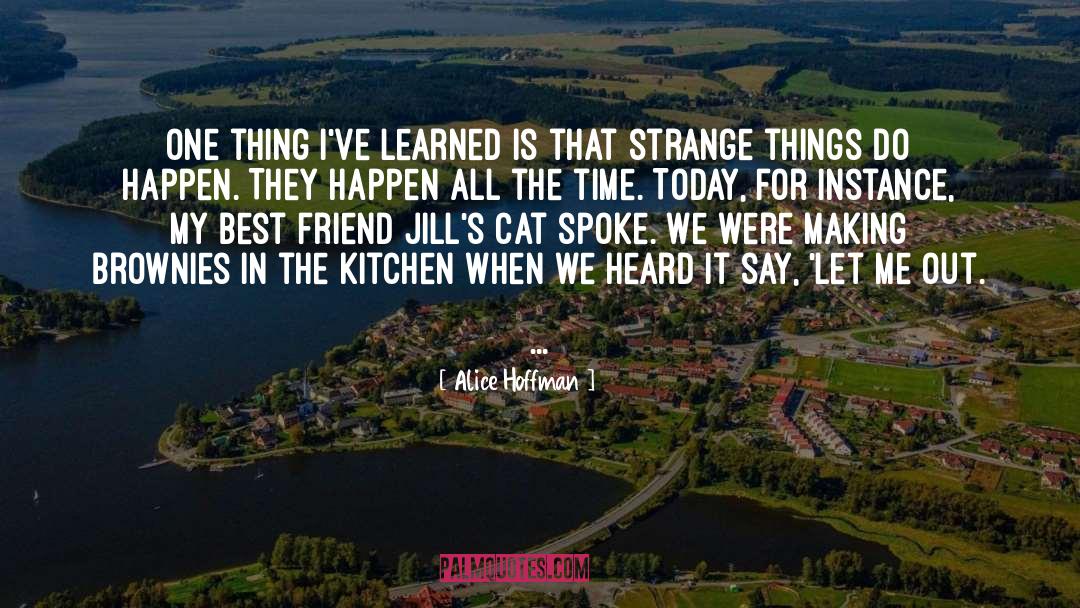 Best Friend Talks quotes by Alice Hoffman