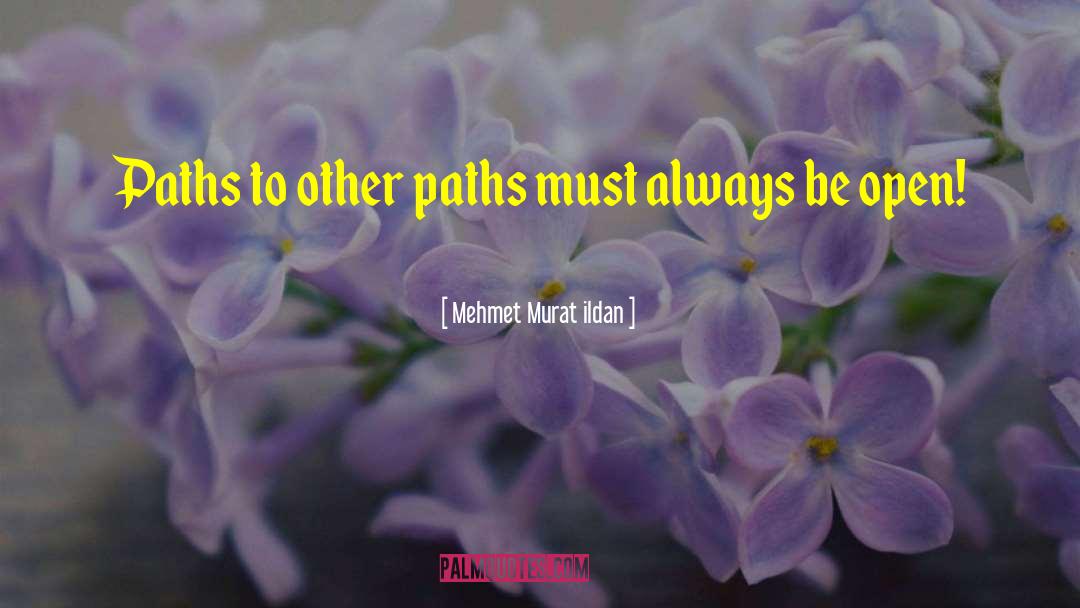 Best Friends Different Paths quotes by Mehmet Murat Ildan