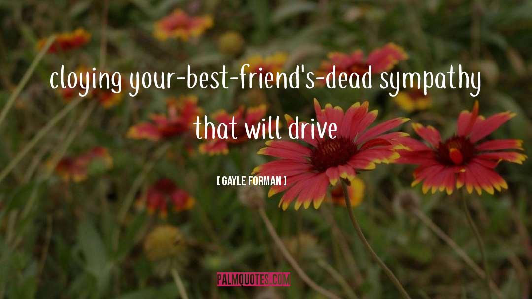 Best Friends quotes by Gayle Forman