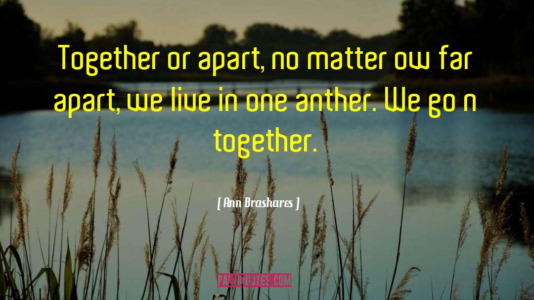 Best Friendship quotes by Ann Brashares