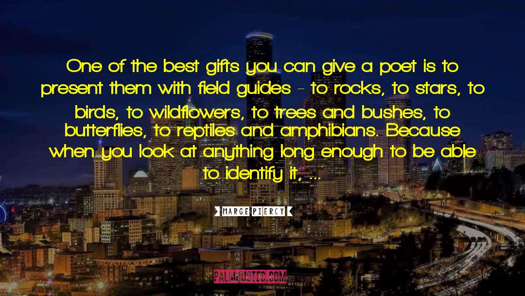 Best Gift quotes by Marge Piercy