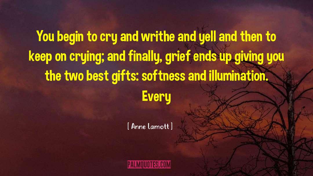 Best Gifts quotes by Anne Lamott