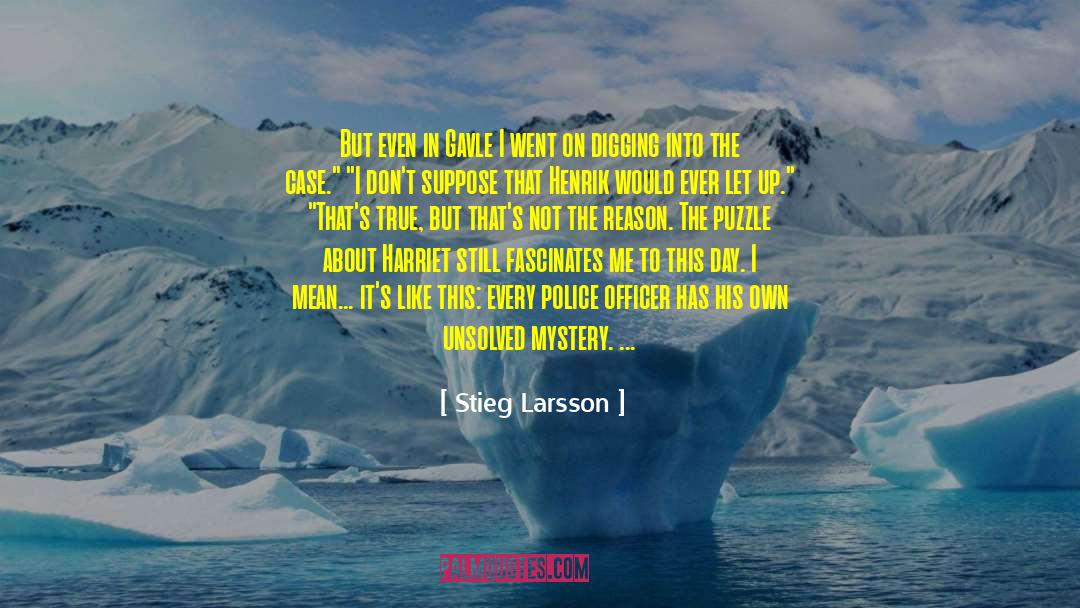 Best Holiday quotes by Stieg Larsson