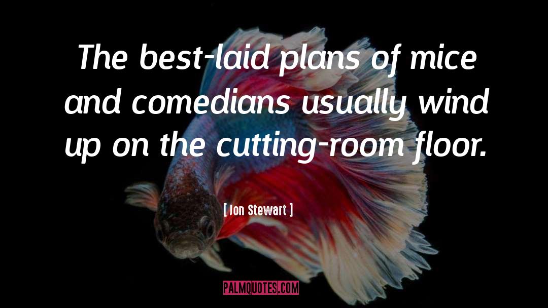 Best Laid Plans quotes by Jon Stewart