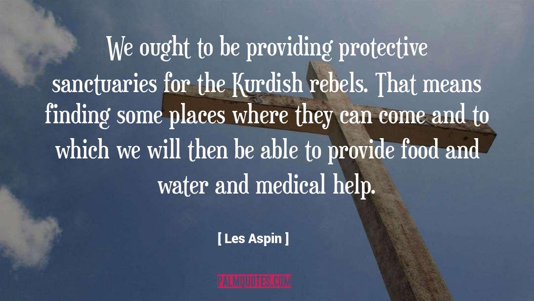 Best Medical quotes by Les Aspin