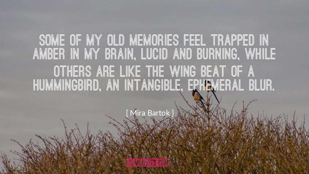 Best Memories quotes by Mira Bartok
