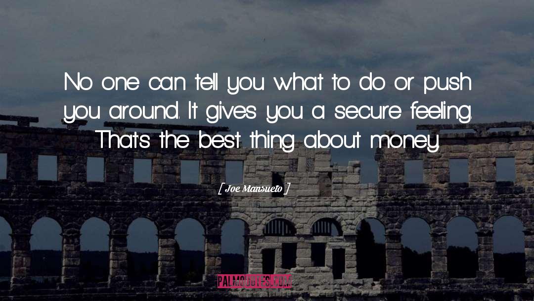 Best Money quotes by Joe Mansueto