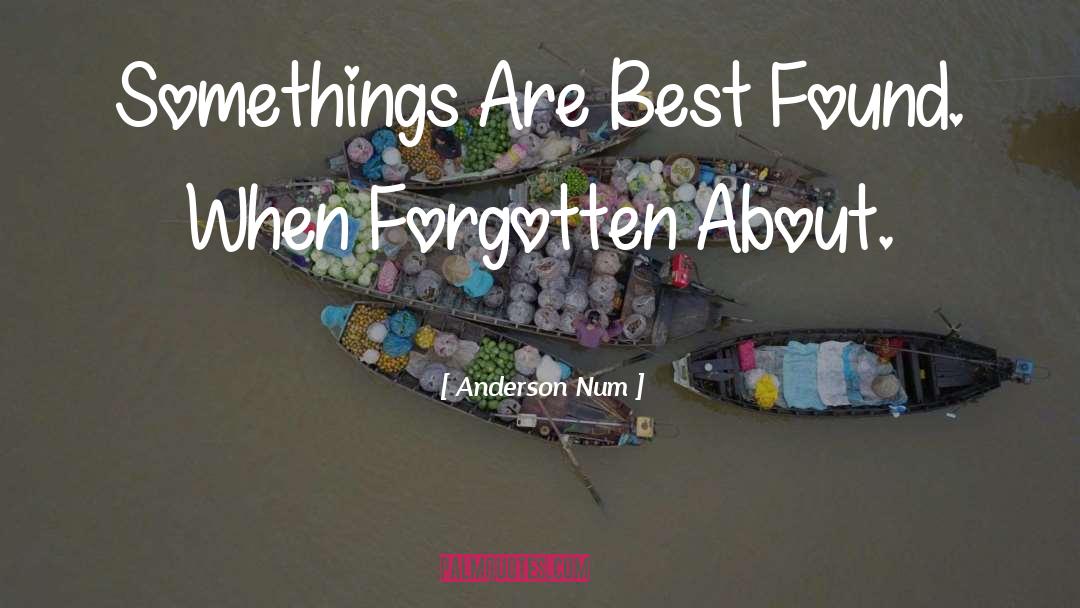 Best Motivational Speakers quotes by Anderson Num