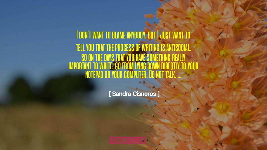 Best Notepad quotes by Sandra Cisneros