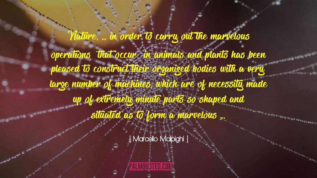 Best Of Miracles quotes by Marcello Malpighi