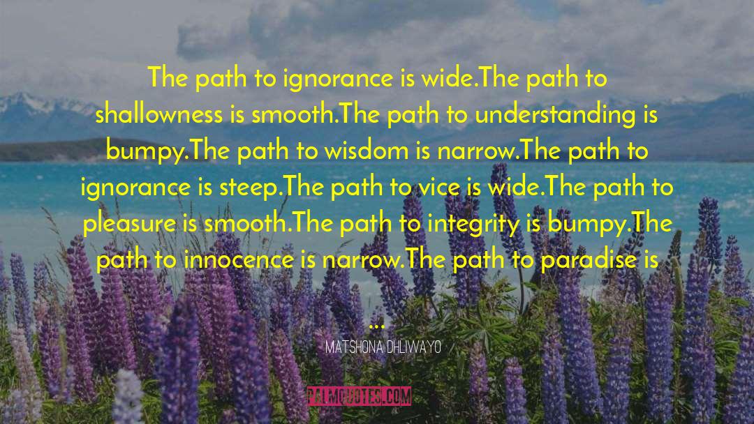 Best Path quotes by Matshona Dhliwayo