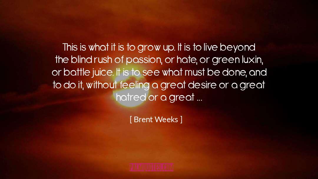 Best Person quotes by Brent Weeks