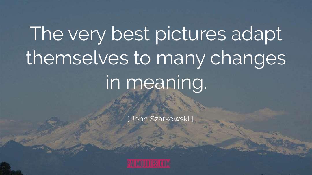 Best Picture quotes by John Szarkowski