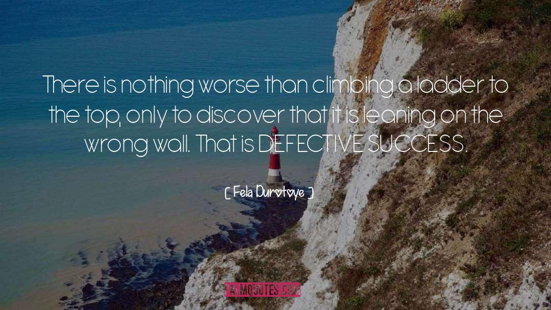 Best Success quotes by Fela Durotoye