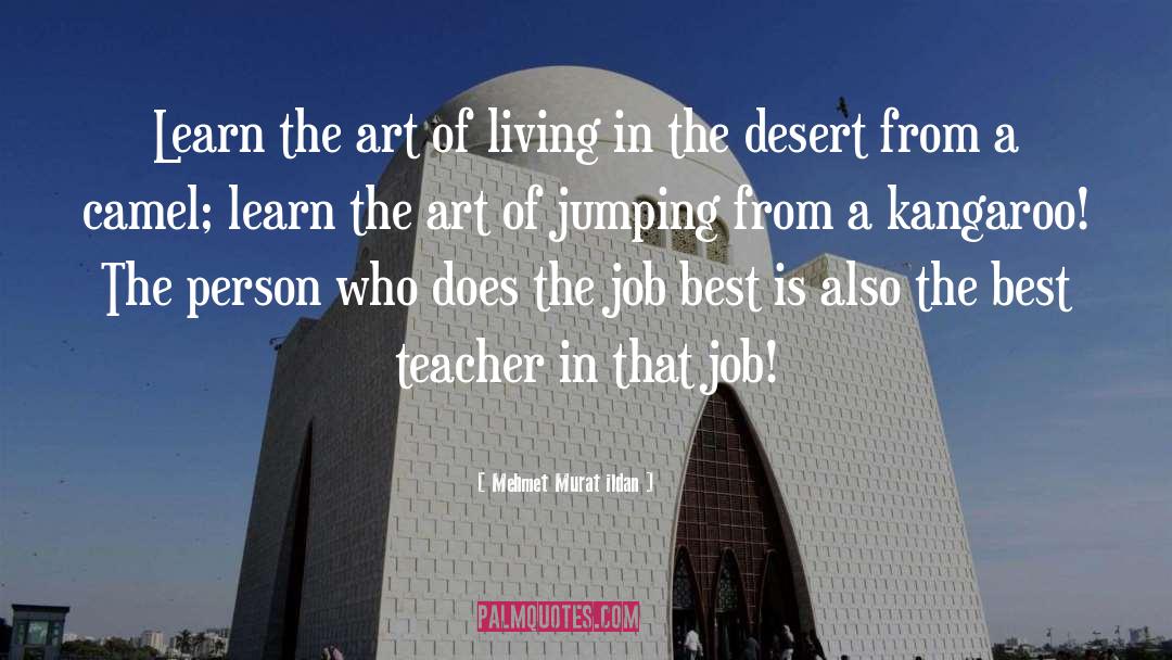 Best Teacher quotes by Mehmet Murat Ildan