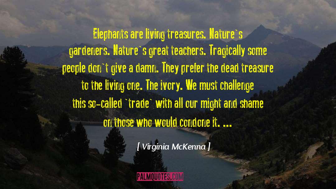 Best Teachers quotes by Virginia McKenna