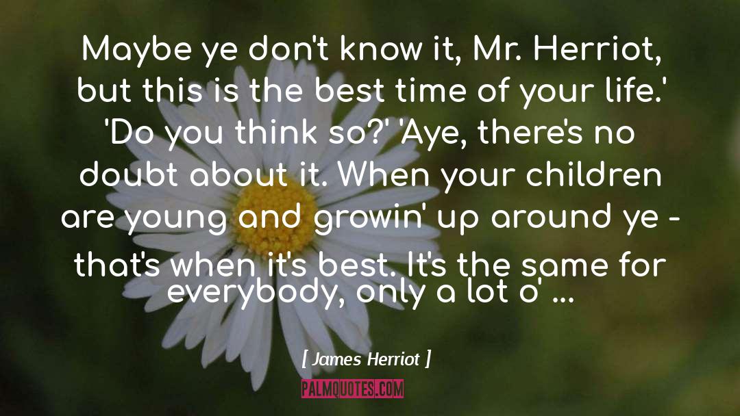 Best Time Of Your Life quotes by James Herriot