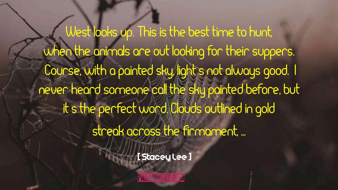 Best Time quotes by Stacey Lee