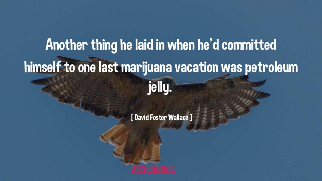 Best Vacation quotes by David Foster Wallace