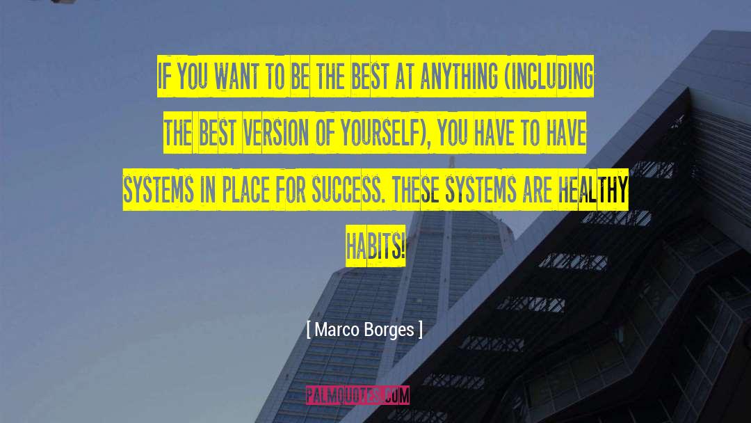 Best Version quotes by Marco Borges
