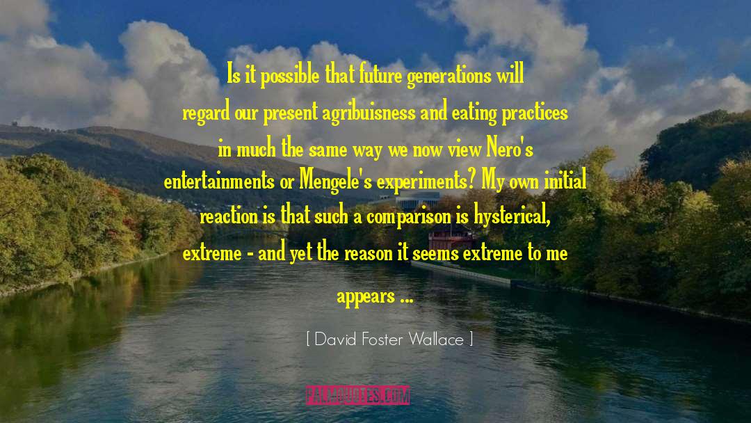 Best View quotes by David Foster Wallace