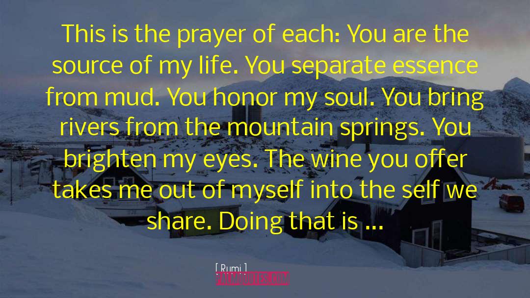 Best Wine quotes by Rumi