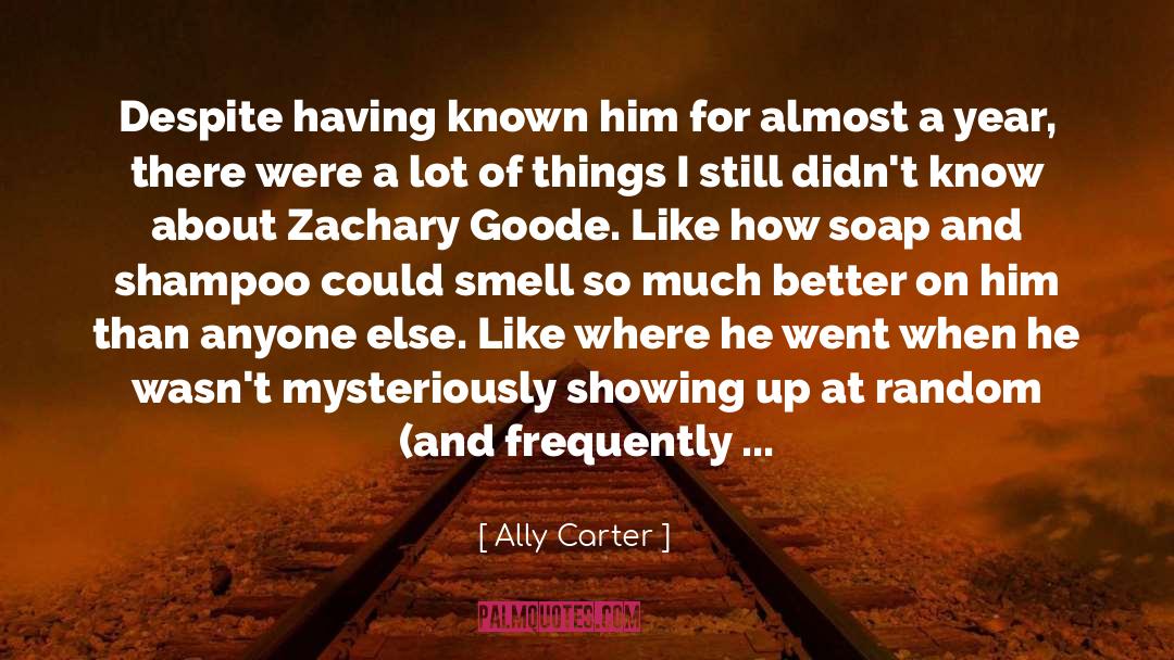 Best Year quotes by Ally Carter