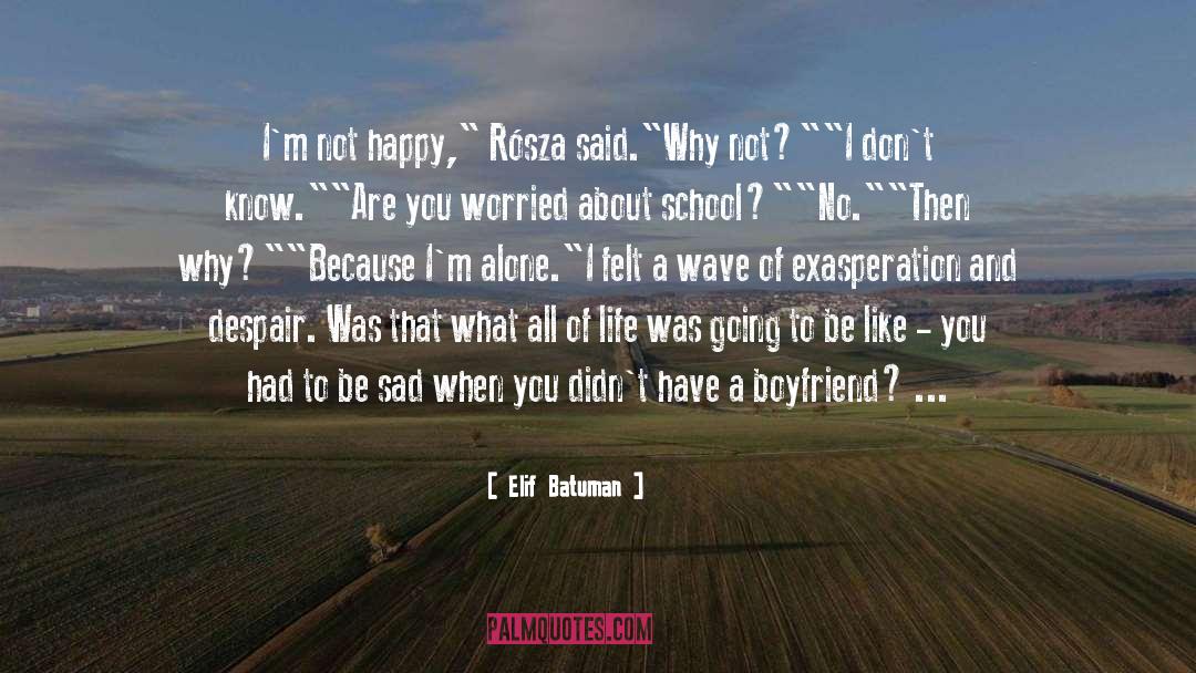 Bethanys Boyfriend quotes by Elif Batuman