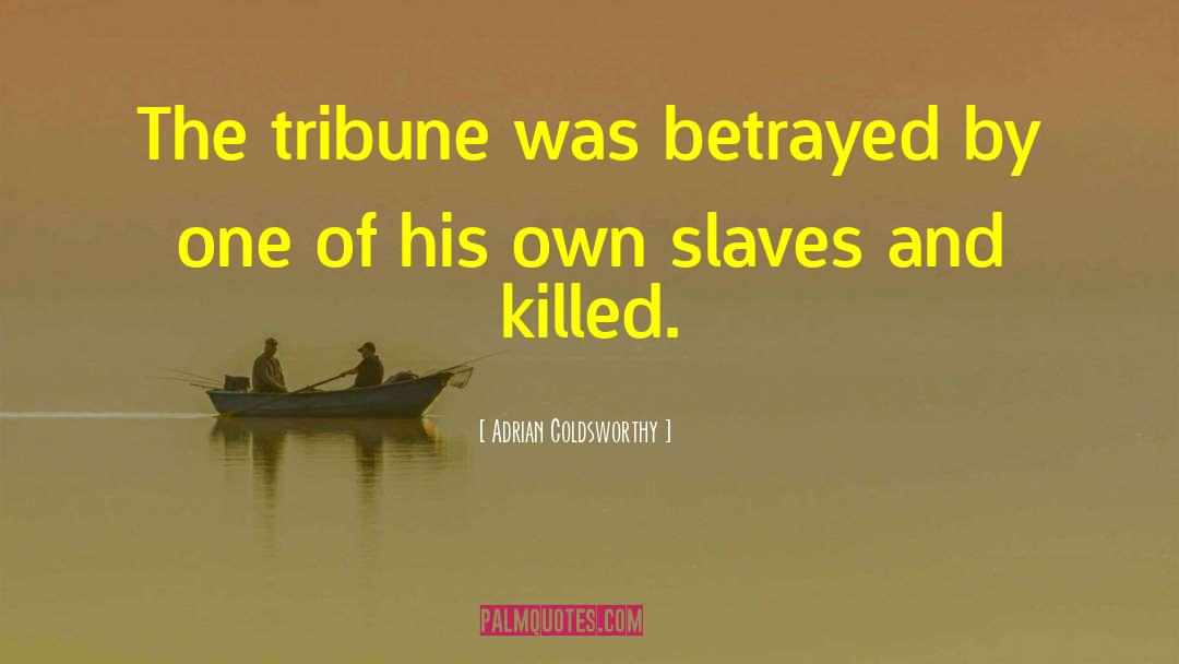 Betrayed quotes by Adrian Goldsworthy