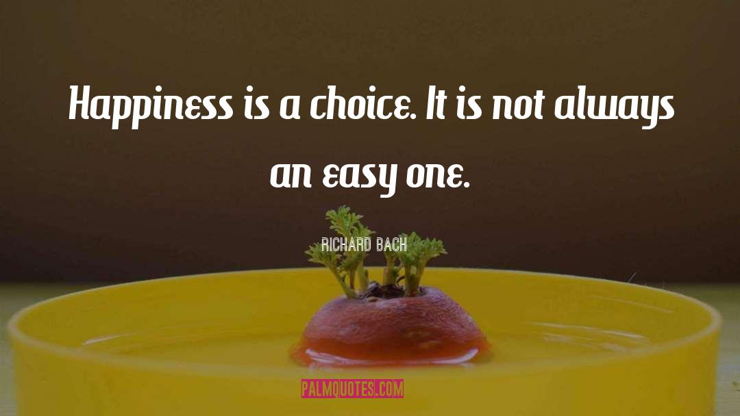 Better Choice quotes by Richard Bach