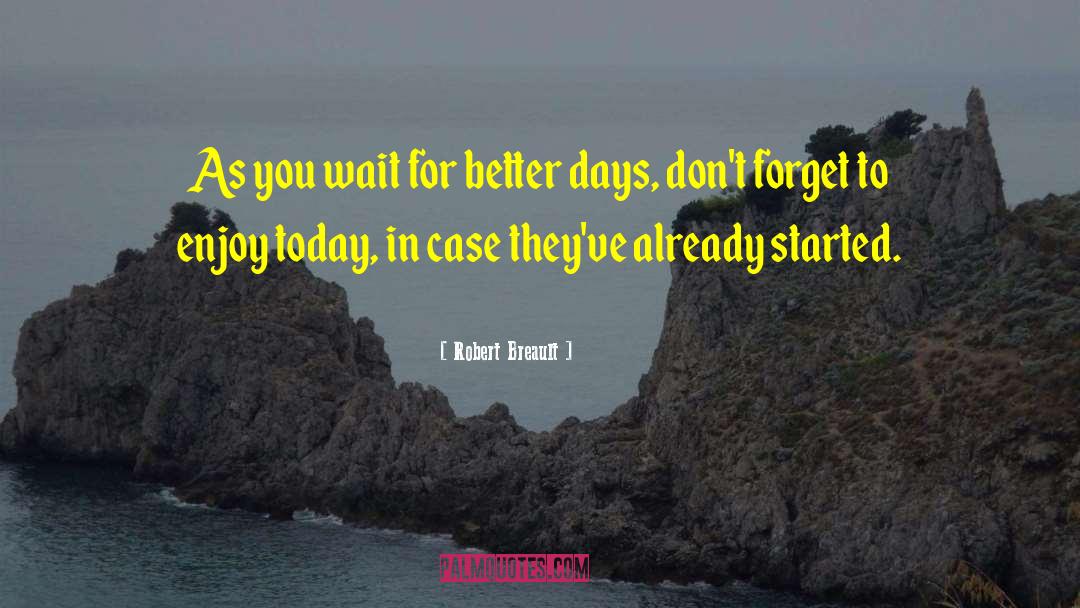 Better Days quotes by Robert Breault