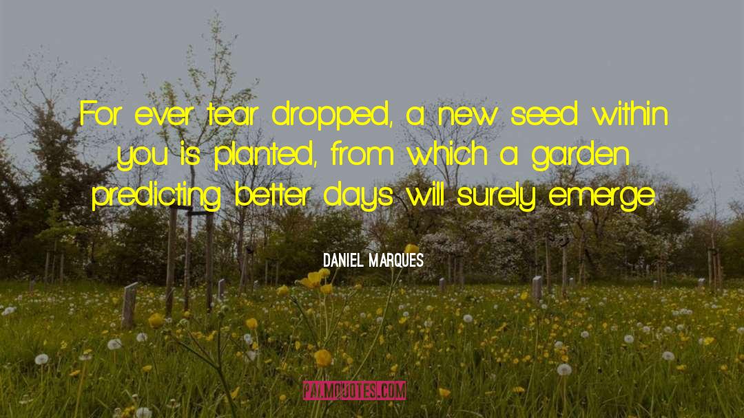 Better Days quotes by Daniel Marques