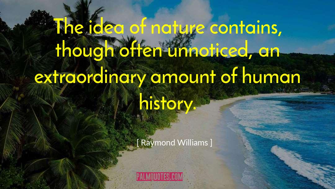 Better Ideas quotes by Raymond Williams