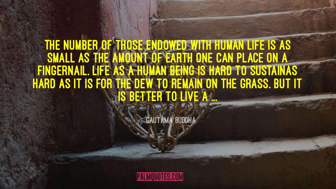 Better Life Empathy quotes by Gautama Buddha