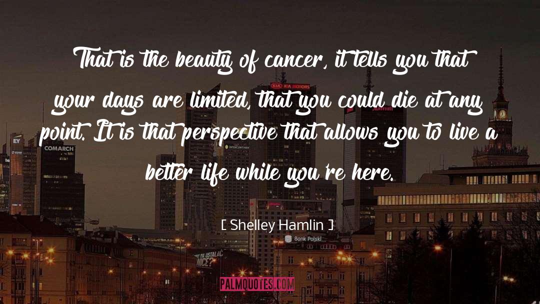 Better Life quotes by Shelley Hamlin