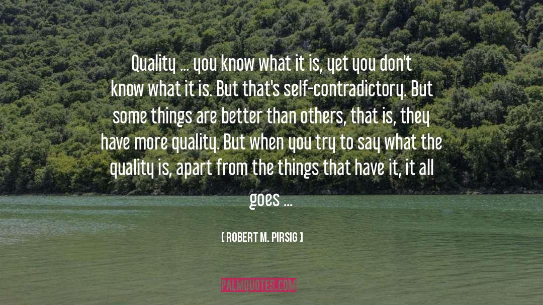 Better Than Others quotes by Robert M. Pirsig
